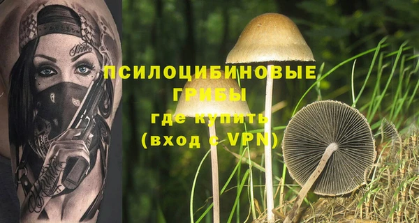 соль курить ск Горняк