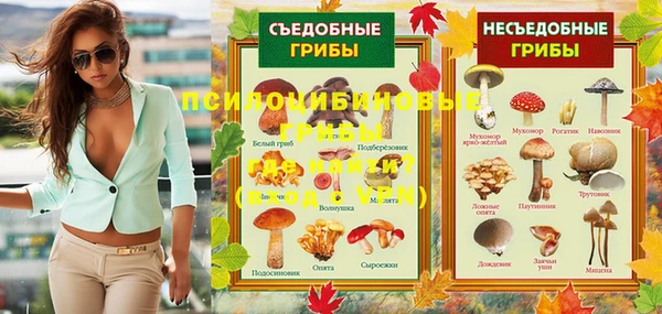 дурь Гусиноозёрск