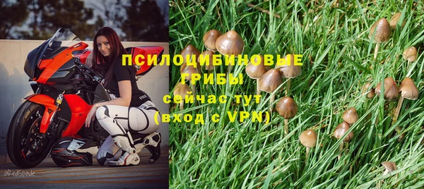 марки lsd Горно-Алтайск