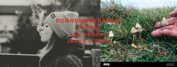 спиды Гусев