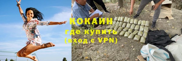 спиды Гусев