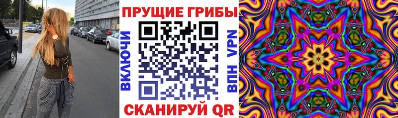 Галлюциногенные грибы прущие грибы  где купить наркотик  Хасавюрт 